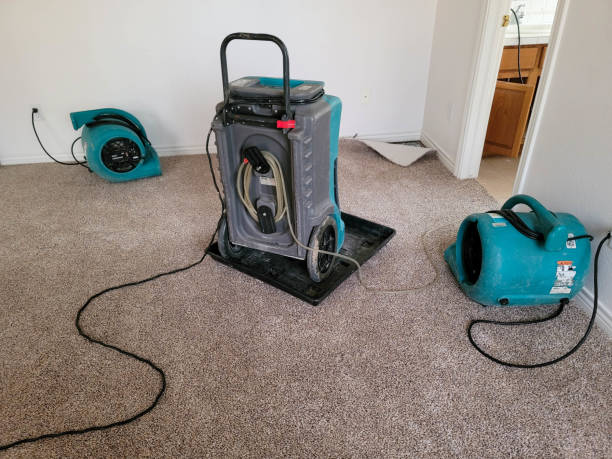 Best Local water damage restoration  in Mobile, AL