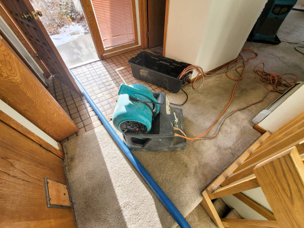 Professional Water damage restoration in Mobile, AL