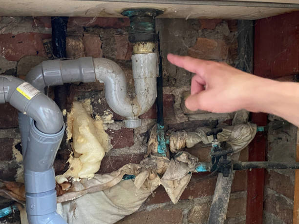 Best Residential water damage restoration  in Mobile, AL