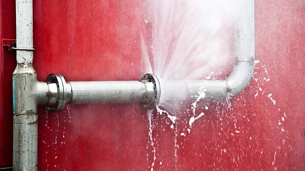 Best 24-hour water damage restoration  in Mobile, AL